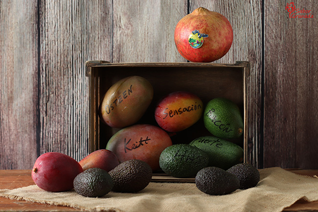 Salute Vestra - Sabor Granada Salute Vestra - Sabor Granada