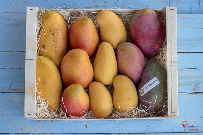 Mangos Sol y Fruit - Sabor Granada Mangos Sol y Fruit - Sabor Granada