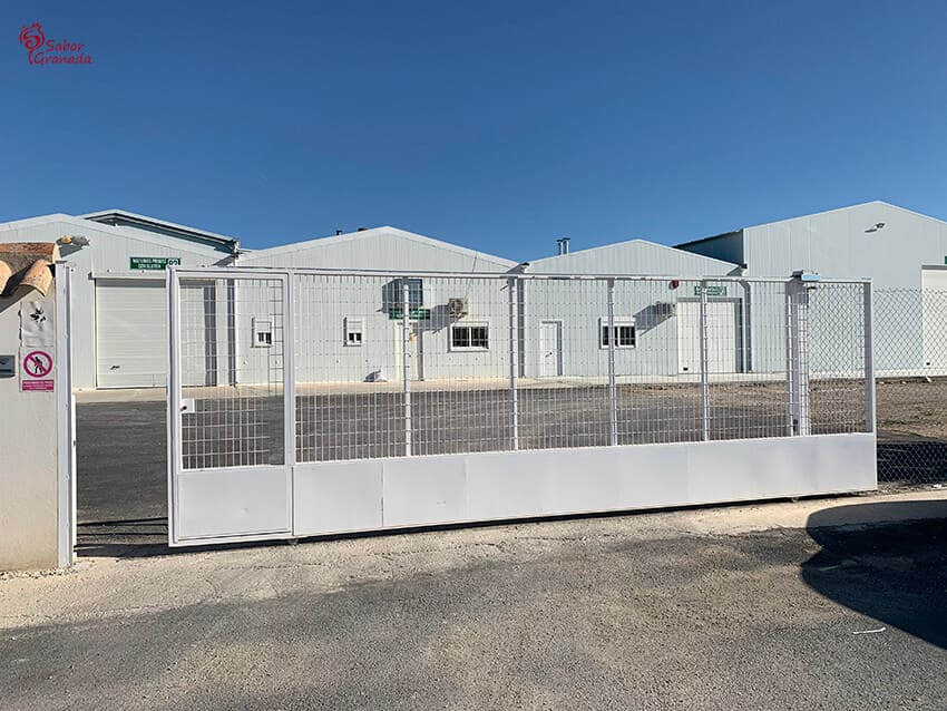 Empresa Bioartesa. Productores de la lenteja roja que utilizamos para la elaboración de hamburguesas de lentejas - Sabor Granada Empresa Bioartesa. Productores de la lenteja roja que utilizamos para la elaboración de hamburguesas de lentejas - Sabor Granada