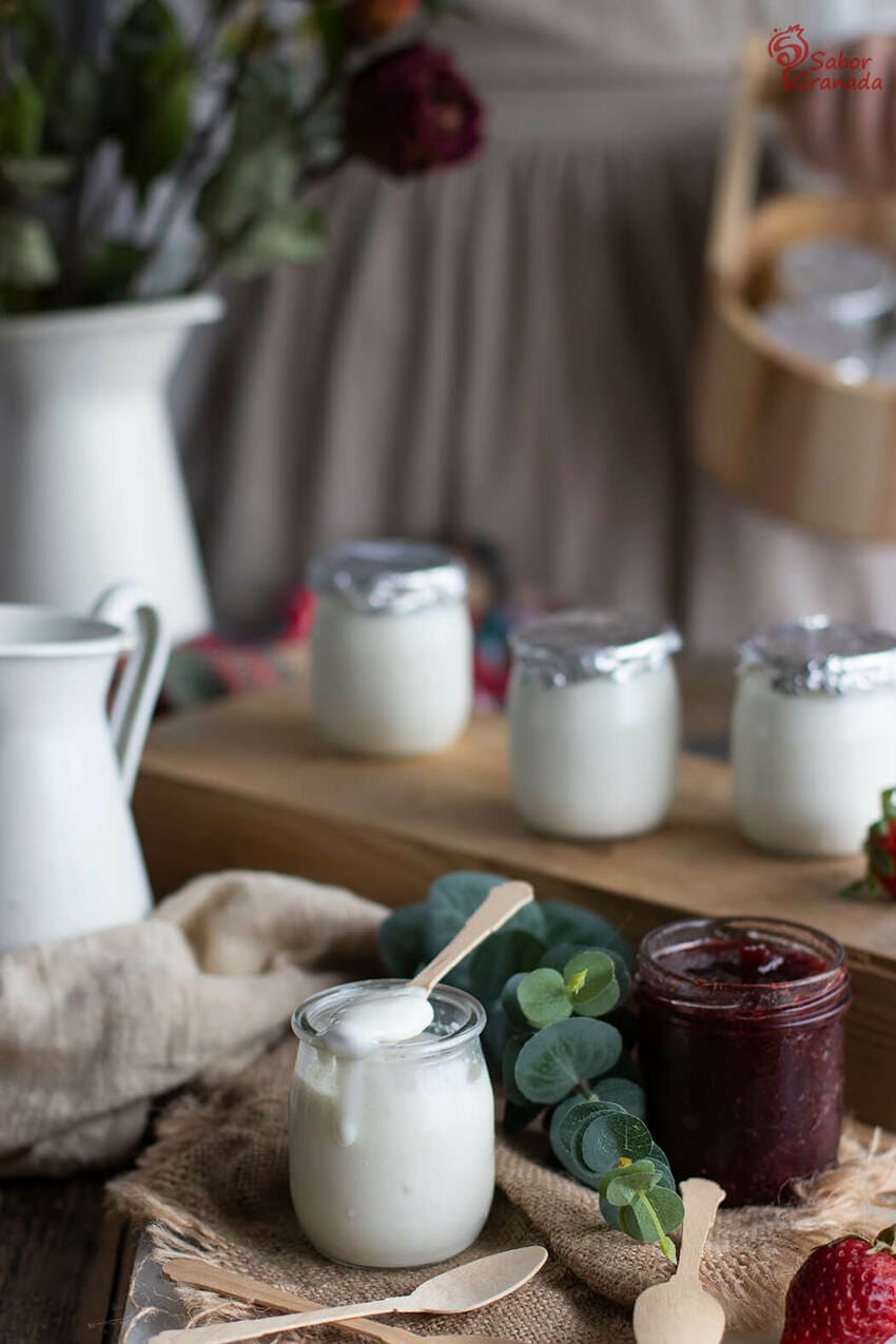 Elaboración de yogur casero - Sabor Granada Elaboración de yogur casero - Sabor Granada