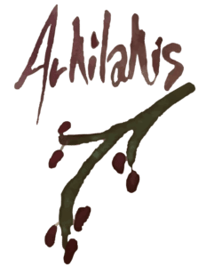 Logo Arkilakis - Sabor Granada